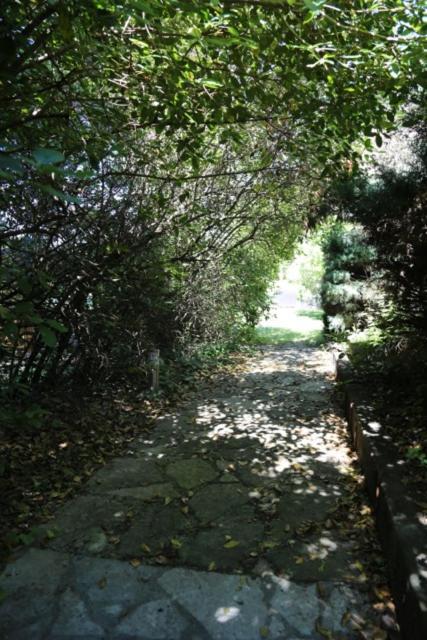 A L'Oree Des Cevennes Aigremont 外观 照片